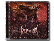 REVERBER - Sect of Faceless