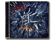 EVIL INVADERS - Shattering Reflection