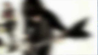 WOSLOM - Mortal Effect (Official Video)